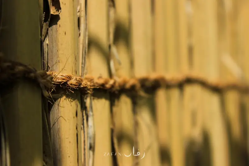 حبل يشد أعواد الزور المتجاورة